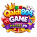 Qaidi804 Game