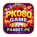 PK080 Game