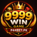 9999win Game
